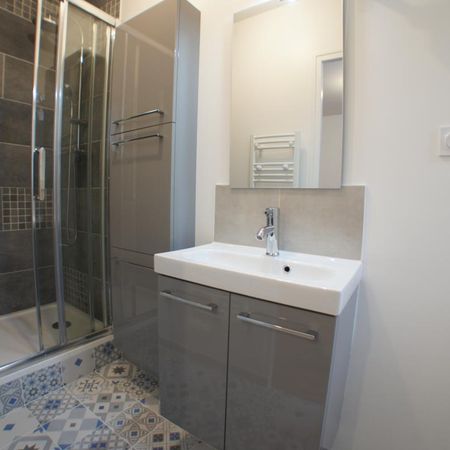 Location Appartement 1 pièce Meublé 17m² ANGERS 49000 - Photo 4