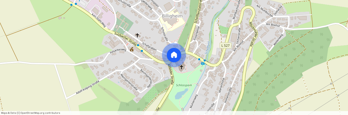 74842 Baden-Württemberg - Billigheim