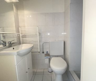 Location Appartement 1 pièce 20m² ST LOUIS 68300 - Photo 3