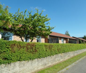 Pilevej 116, Glyngøre, 7870, Roslev - Foto 6