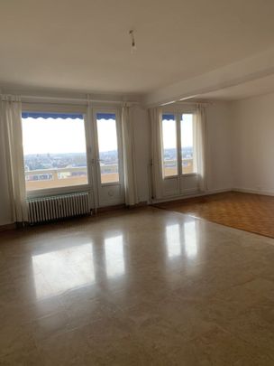 T3 avec une seule chambre 29 rempart st pierre - Photo 1