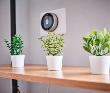 Dunluce Park (From Sept 2025), 48 Eglinton Street, Portrush, BT56 8DY - Photo 2