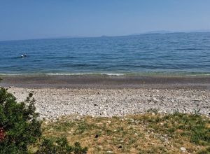 Μονοκατοικία για ενοικίαση - Μέγαρα, - Photo 4