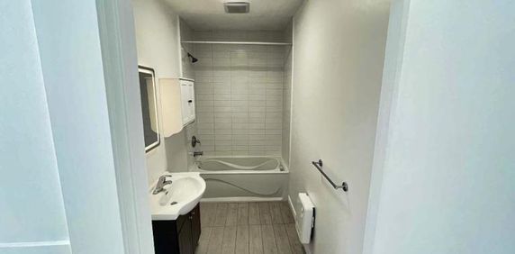 5 1/2 - Montréal (Hochelaga / Maisonneuve) - 1 700 $/mois - Photo 2