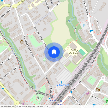 chemin de Prélaz 17, 1260 Nyon