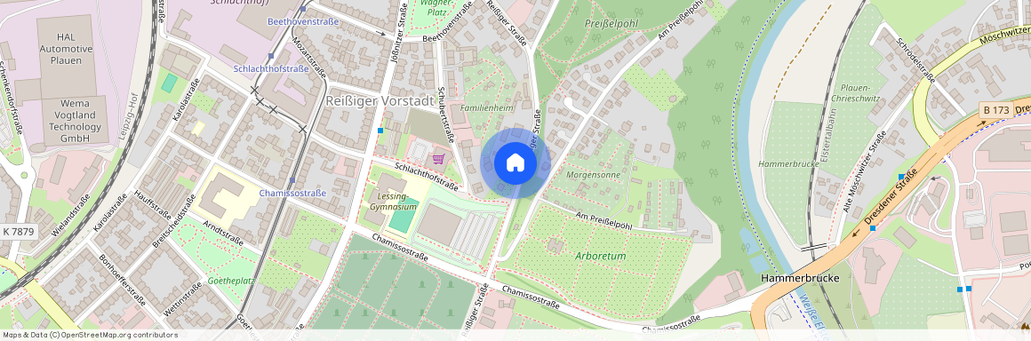 Reißiger Straße 81, 08525 Plauen