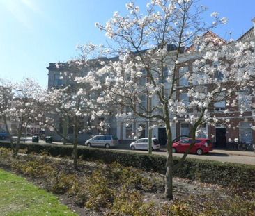 Te huur: Appartement Zoutmanstraat in Den Haag - Foto 1