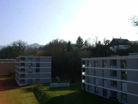 Sonnige 4.5-Zimmerwohnung mit Blick ins Grüne - Photo 4