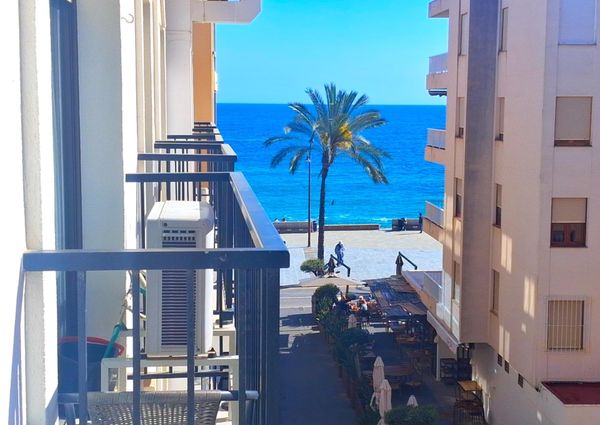 Apartamento alquiler SOLO AÑO COMPLETO