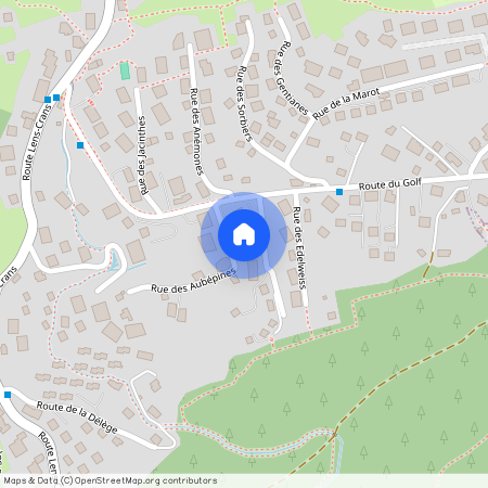 3963, Crans-Montana, Rue de la Verdure, 8