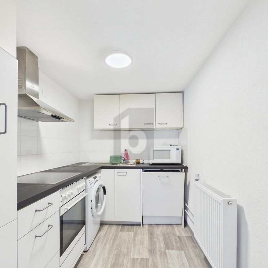 RENOVATED AND FURNISHED WITH FLEXIBLE RENTAL TERMS - Photo 1