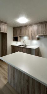 Beau grand 5 1/2 entièrement rénové - Photo 3