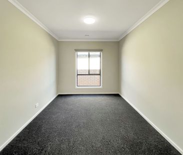 100 Crown Street, Sebastopol - Photo 1