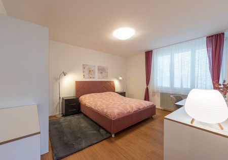 W54-2, Haus Lindenrain, 1 WG-Zimmer mit Doppelbett, 3012 Bern - Foto 2