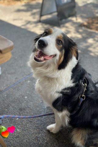 Greenslopes - Photo 2