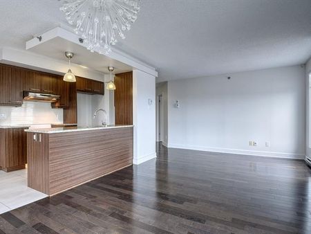 5445 Rue de Meudon - Photo 4