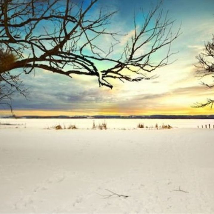 For Lease - 279 Pasadena Drive Unit# Unit B, Georgina, Ontario - Photo 1