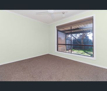 49 Crawford Street, Ashmont, NSW 2650 - Photo 1