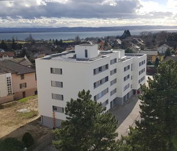 Studio avec petite terrasse dans quartier calme ! - Photo 1