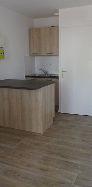 Location Appartement 1 pièce 17m² ORLEANS 45100 - Photo 1