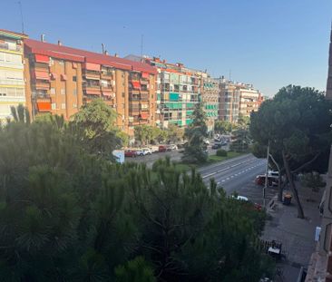 Madrid Capital, Community of Madrid 28012 - Photo 3