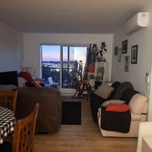 4 demi + Bureau/DROIT chiens et chats - Photo 2