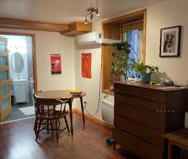 Studio Plateau Mont-Royal Cession de bail Lease transfer Dec 1 - Photo 3