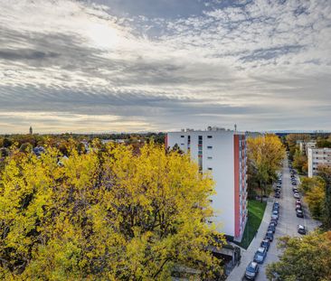 Wohnen mit Panoramablick in der Parkstadt Solln - Photo 6