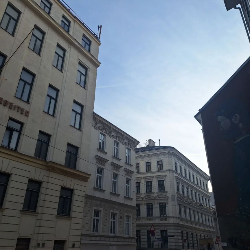 Single oder Stadt-Wohnung Nahe Pilgramgasse - zentraler geht`s FAST nicht mehr - Foto 1