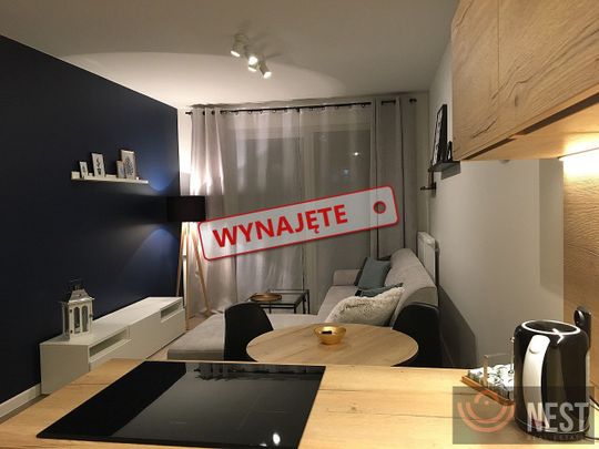 Do wynajęcia dwupokojowy apartament ul. Powstańców Śląskich - Zdjęcie 1