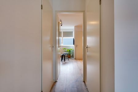 Zeelsterstraat 143D, 5652 EE Eindhoven, Nederland - Photo 2