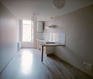 Location Appartement 1 pièce 36m² CHARLIEU 42190 - Photo 3