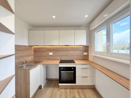 Location Appartement 1 pièce 31m² HOENHEIM 67800 - Photo 5