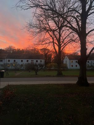 Carl Söderbergs allé 9B, Segevång - Photo 1