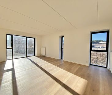 Max Plancks Have 1, st. 1, 9220 Aalborg Øst - Photo 2