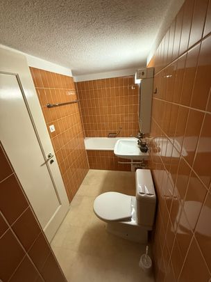 3 Zimmer, 61 m², EG - Foto 1