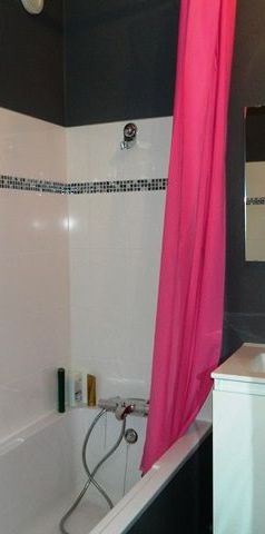 Location Appartement 1 pièce 24m² MEAUX 77100 - Photo 2