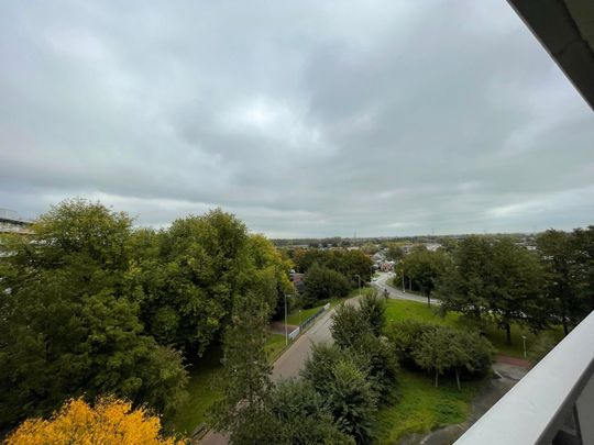 Rosmolen 59, Molenwijk, 1035CC, Amsterdam - Photo 1