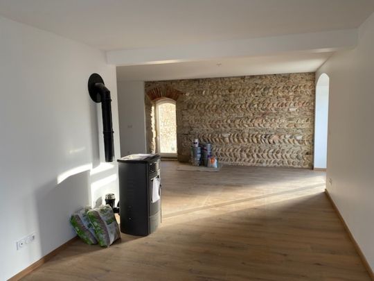 Appartement T5 rénové à Charantonnay - Photo 1