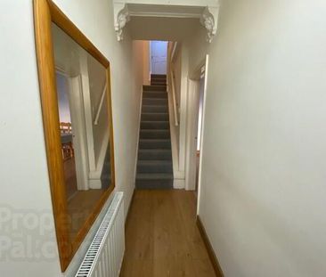 81 Greenore Street - Photo 4