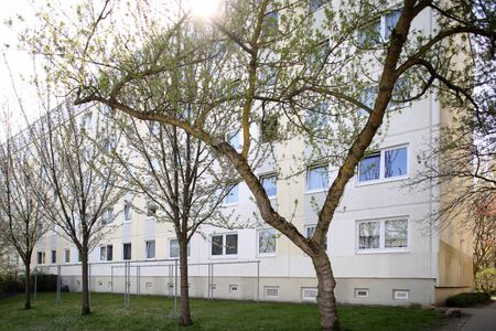 Einfach genial ... in der 1. Etage! - Photo 3