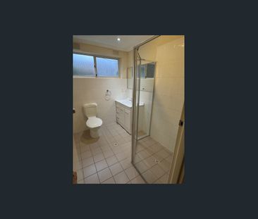 Ground floor apartment with private courtyard! - Photo 4