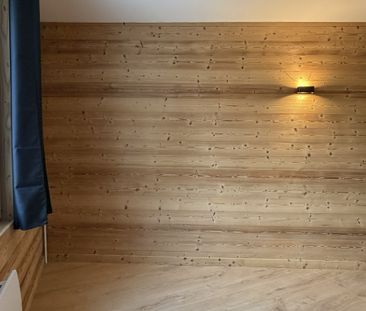 Location Appartement 1 pièce 17m² CHAMBERY 73000 - Photo 2