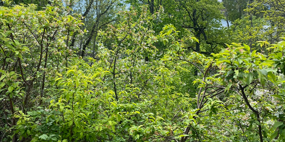 Berguddsvägen, Saltsjöbaden - Photo 3