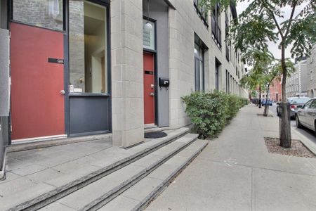 98 Rue St-Norbert, app.9, H2X 3Z2, H2X 3Z2, Montréal - Photo 3