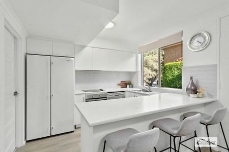 Awash with Natural Light - Photo 4