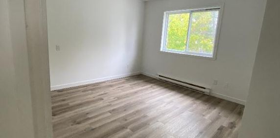 61/2 SITUÉ À SAINT-HUBERT , PROCHE DU LAC DE CITÉ SOLEIL, À 5 minutes de deux écoles primaires. La cuisine et la toilette sont complètement renovées - Photo 2