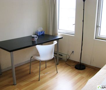 850-1055, rue St-Mathieu, Ville-Marie (Centre-Ville et Vieux-Montré... - Photo 6