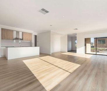 7 Luster Circuit, Cranbourne South VIC 3977 - House For Rent | Domain - Photo 2