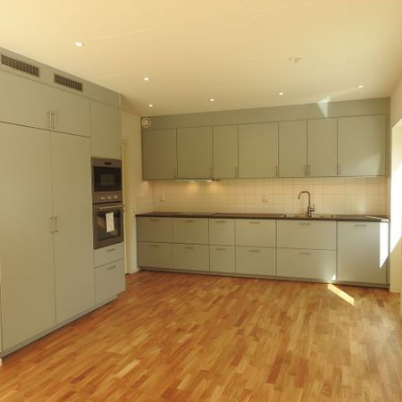 Funbo Vargspåret, Uppsala - Photo 3